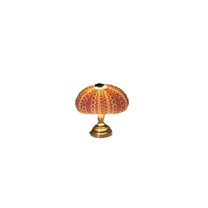 Mini vintage sea urchin night light with a natural pink shell and brass base on white back