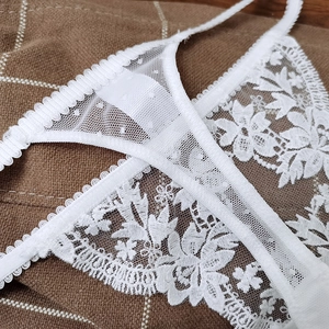 White French lace embroidered thong for women featuring intricate floral mesh patterns