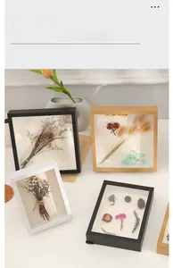 Detail of wooden 3D shadow box frames showing dried botanical specimens in white and black