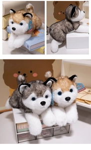 Detailed close-up of grey and brown plush husky toys with soft fur and realistic blue eyes