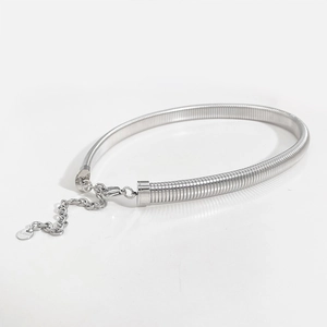 Detail of silver stainless steel snake bone chain with lobster clasp and S.steel tag