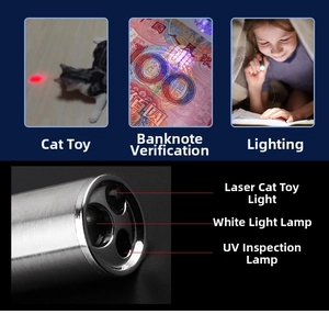 Detail of multi-functional laser pointer with light modes for pet play and counterfeit detection