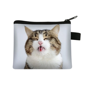 Cute brown tabby cat coin purse with zipper and portable handle on white background