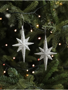 Close-up of a silver glitter star ornament hanging on a Christmas tree branch