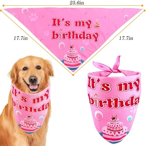 Detailed view of pink birthday dog bandana with cake print and size measurements