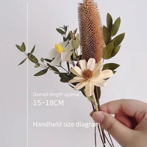 Handheld 15-18cm natural dried flower bouquet with Protea and Eucalyptus for home decor