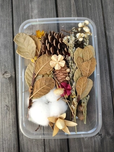 Scatola di fiori secchi natalizi DIY con pigne e bacche rosse per ghirlande