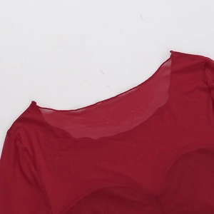 Detail of sheer red mesh fabric and boat neck collar of a slim fit long sleeve top