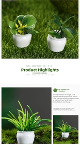 Detail of miniature dollhouse plants in white pots with realistic leaf vein texture