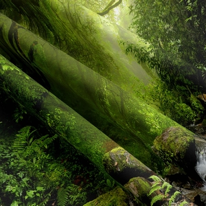 Detailed texture of thick canvas wall hanging with high-definition forest print