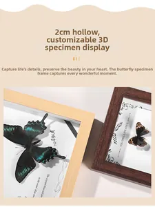 Detailed macro view showing the 2cm hollow depth for 3D butterfly specimen frames