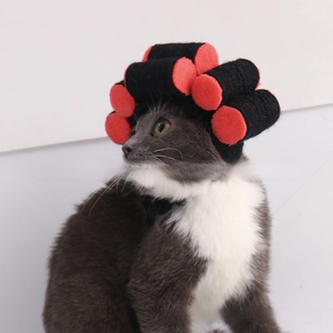 Funny pet costume hat with curlers for cats and dogs hair styling accessory