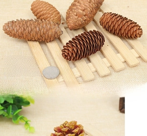 Macro shot of natural pine cones on wooden lattice for rustic floral photography props