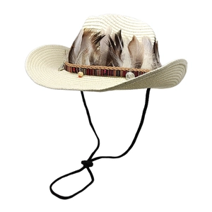 Detail of light beige woven straw cowboy hat featuring brown feathers and ethnic band