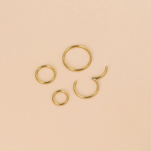 Golden stainless steel hinged nose rings and lip hoops in multiple sizes set