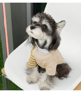 Detail of breathable cotton pet t-shirt with chic beige body and yellow striped sleeve