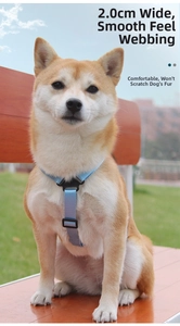 Close-up of 2.0CM light blue smooth H-shaped harness on a Shiba Inu in a sunny park