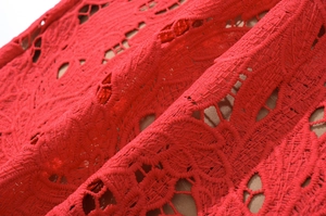 Close-up of red lace fabric with intricate floral embroidery and sheer hollow-out detail