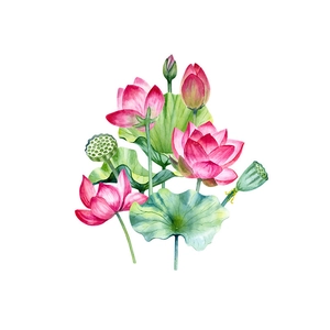 Adesivi murali fiori di loto rosa e foglie verdi ad acquerello per il bagno moderno