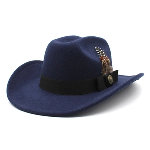 Chapeau fedora classique en feutre bleu marine avec large bord et plume décorative