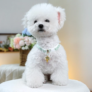 Detail of adjustable pet collar with green bamboo pattern and gold fan pendant on a dog