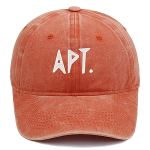 Macro detail of APT. embroidery and vintage washed cotton texture on orange baseball cap
