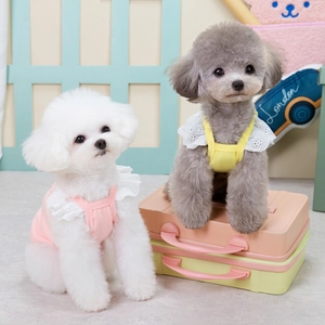 Pink and yellow cotton pet vests with lace ruffles for small dogs on a warm indoor set