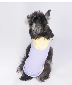 Detail of purple and yellow pet hoodie featuring a mesh side and Believe In Yourself patch
