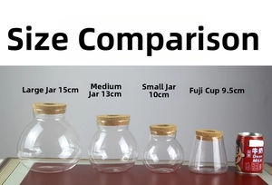 Detailed size comparison chart for clear hydroponic glass vases in four different styles