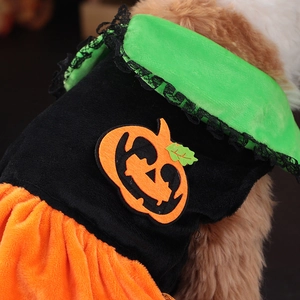 Halloween pumpkin dog dress with black lace collar and plush orange velvet fabric