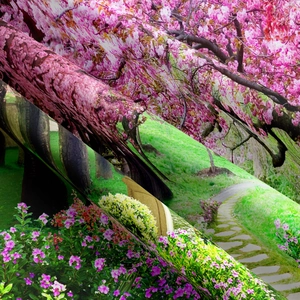 Detail shot of heavy-duty fabric texture showing cherry blossom forest digital print