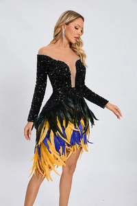 Close-up of sparkling sequin bodice and vibrant feather hem on an elegant dress