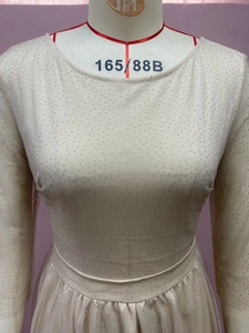 Detail of champagne mesh dress with silver sequins and transparent long sleeves