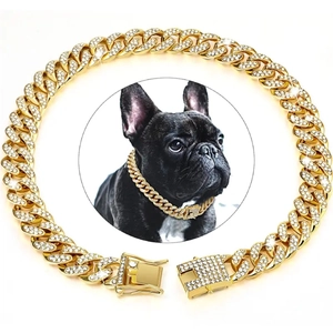 Close-up of gold iced-out Cuban link pet collar with rhinestones on a French Bulldog