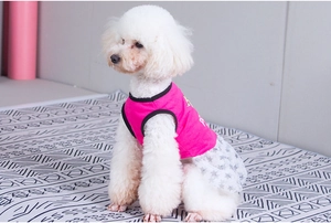 Detail of pink dog dress with white star tulle skirt on a white toy poodle model