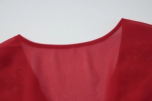 Détail du col en V rouge avec dentelle délicate et tissu en mousseline de soie légère