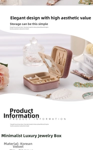 Detail of pink velvet jewelry box showing mirror, necklace hooks, and ring storage slots