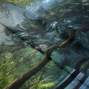 Dettaglio della stampa forestale ad alta definizione sul tessuto dell'arazzo boho
