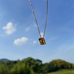 Close-up of a gold titanium steel necklace with a rectangular Z initial pendant in the sun