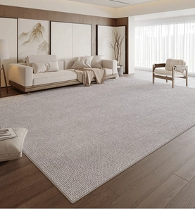 Close-up of light gray-beige woven rug texture in a modern minimalist living room setting