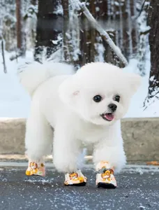 Close-up of a Bichon wearing pink cartoon lion soft-sole warm dog boots in snow
