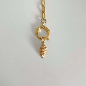 Detail of a gold chunky chain necklace with a natural conch shell pendant and round clasp