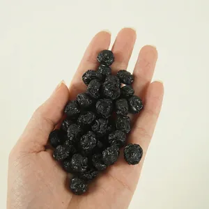 Modello Di Mirtillo Essiccato Artificiale PVC Frutta Simulata Realistica Mini Giocattolo Cibo Cucina Accessori Fotografia Decorazione
