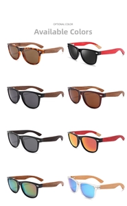 Classic oval sunglasses collection featuring natural wood temples and polarising lenses