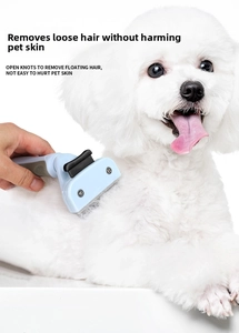 Detail of blue pet grooming brush removing loose fur from a white poodle gently