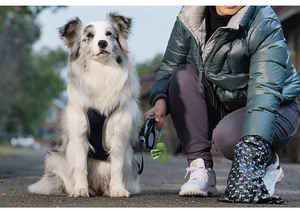 Outdoor scene showing a green pill-shaped waste bag dispenser used to clean up dog waste
