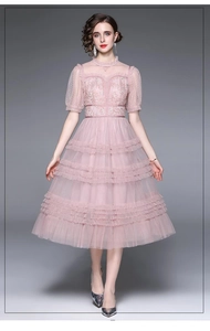 Détail des manches bouffantes roses et broderies de dentelle sur la robe en tulle