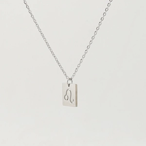 Silver stainless steel zodiac necklace with Leo pendant on a minimalist thin chain