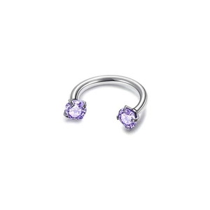 Titanium horseshoe circular barbell with sparkling purple zircon gemstones in silver finish