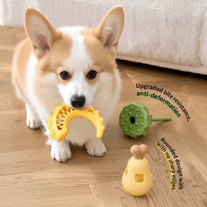 Durable rubber pet teething toy set for dogs with squeaky food dispenser feature